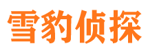 市中区市侦探公司